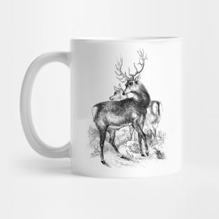 Deer Vintage Illustration Mug